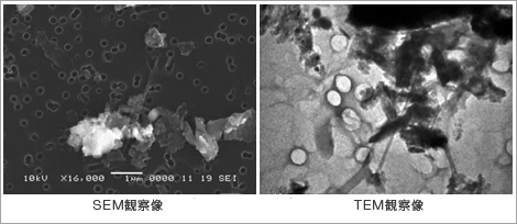 写真2点　左：SEM観察像　右：TEM観察像