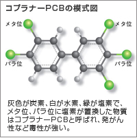 コプラナーPCBの模式図