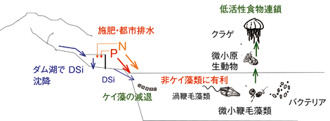 模式図