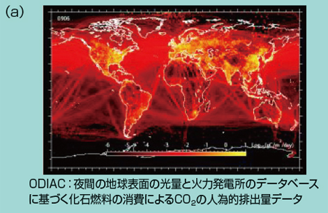 図7(a) 国立環境研究所で開発された大気輸送モデルを構成するCO2吸収・排出量データの3つのコンポーネント