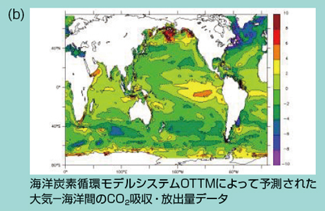 図7(b)　国立環境研究所で開発された大気輸送モデルを構成するCO2吸収・排出量データの3つのコンポーネント