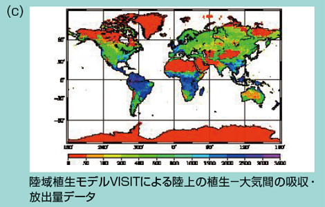 図7(c) 国立環境研究所で開発された大気輸送モデルを構成するCO2吸収・排出量データの3つのコンポーネント