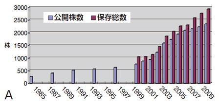 図6(A)　保存株数と利用の推移