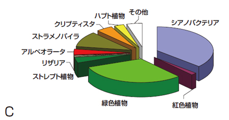 図6(C)　保存株数と利用の推移