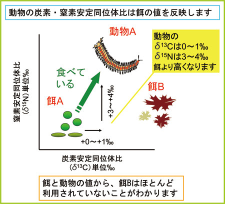 窒素の移動