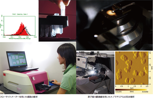 「フローサイトメーターを用いた細胞の解析」「原子間力顕微鏡を用いたナノマテリアルの形状解析」の写真