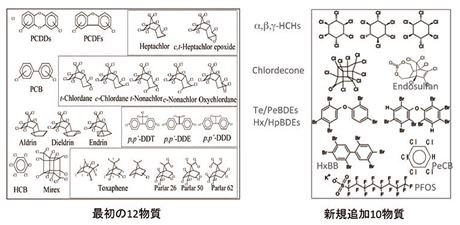 図8 (クリックで拡大画像を表示)