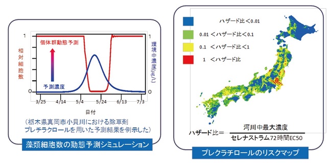 クリックすると拡大画像がポップアップします