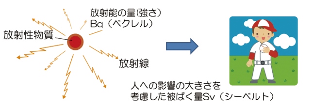 放射能の量と被ばく量の概念図