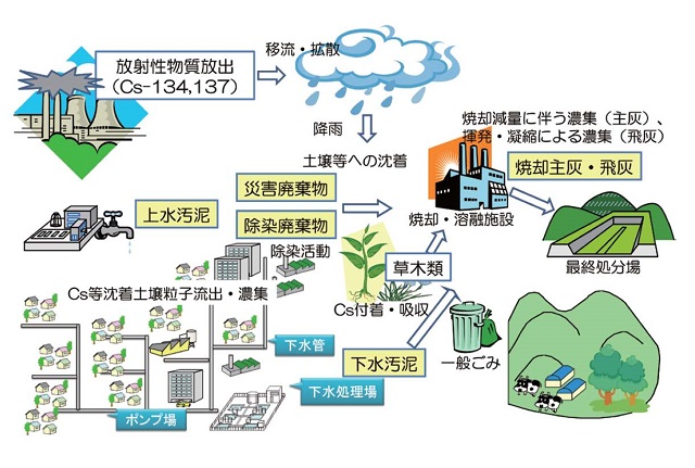 放射性物質の動態