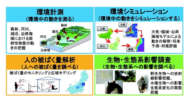 研究の概要