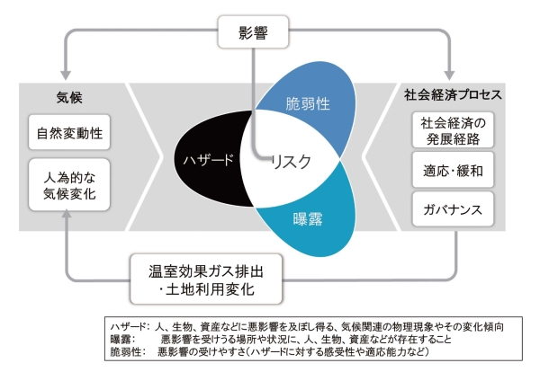 図3：気候変動リスクと それを構成する要素（IPCC （2014）に基づき作成）