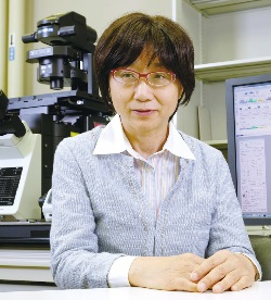 研究者の写真:曽根 秀子