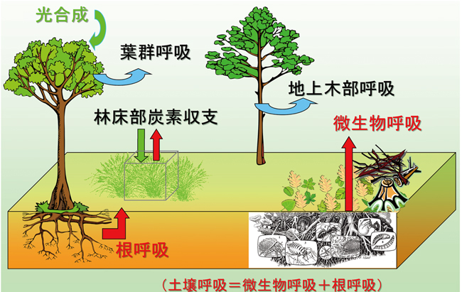 図１（クリックで拡大画像を表示）