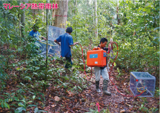 マレーシアでの現地住民による観測の様子