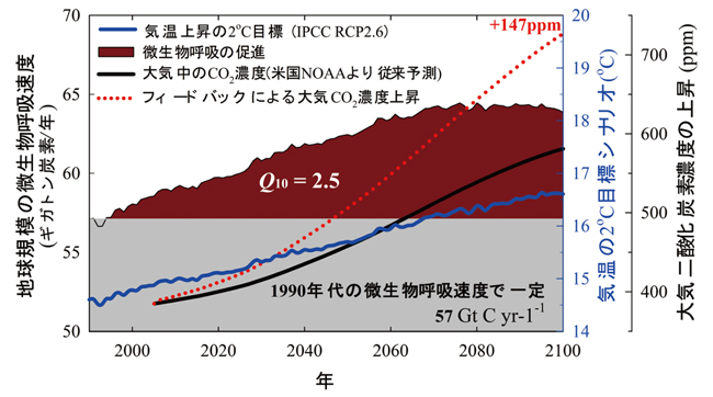 地球規模の微生物呼吸速度と年のグラフ（クリックで拡大画像を表示）