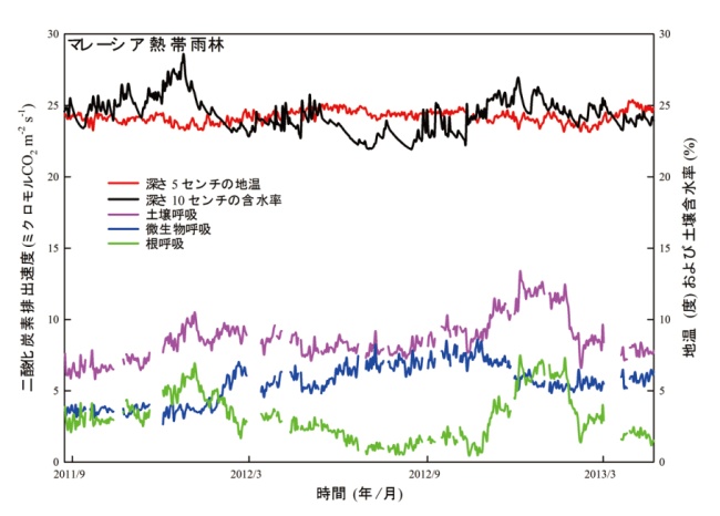 図５B（クリックで拡大画像を表示）