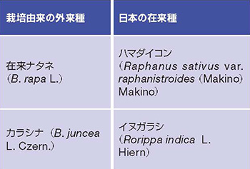 セイヨウナタネと交雑可能な近縁種の表