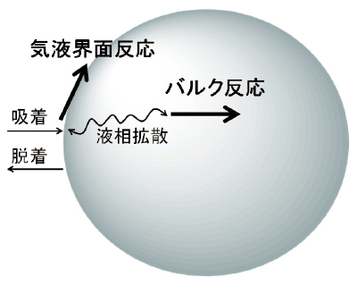 空気と液体エアロゾルの境界で起こる反応とバルク反応の図