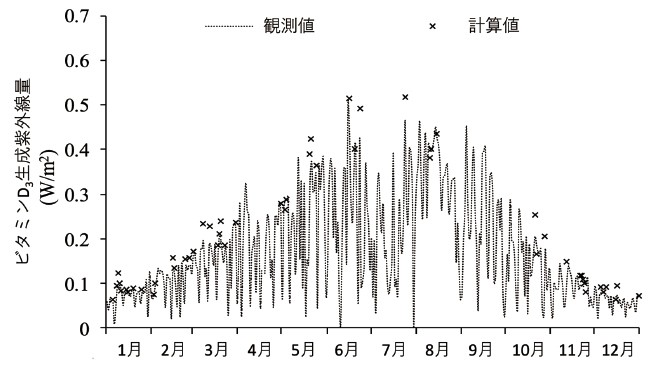 2007年つくば市の12時におけるビタミンD生成紫外線量の観測値と計算値の比較の図