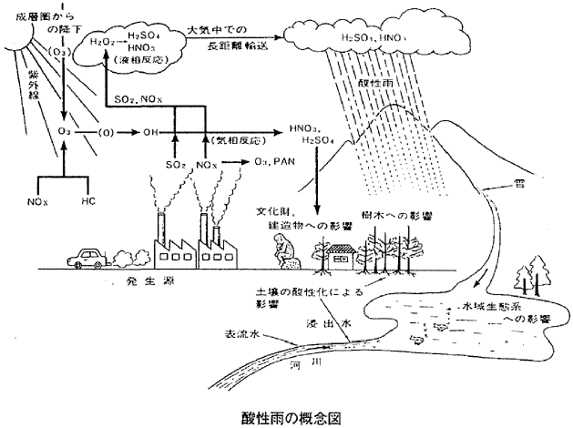 酸性雨の概念図