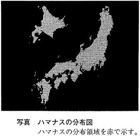 ハマナスの分布図の写真