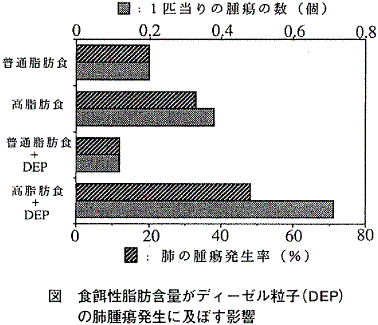 図  食餌性脂肪含量がディーゼル粒子（ＤＥＰ）の肺腫瘍発生に及ぼす影響