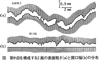 図 割れ目を構成する2面の表面粗さ(a)と開口幅(b)の分布
