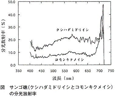 図  サンゴ礁（クシハダミドリイシとコモンキクメイシ）の分光放射率