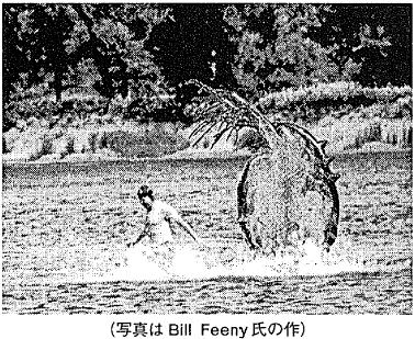 写真はBill Feeny氏の作