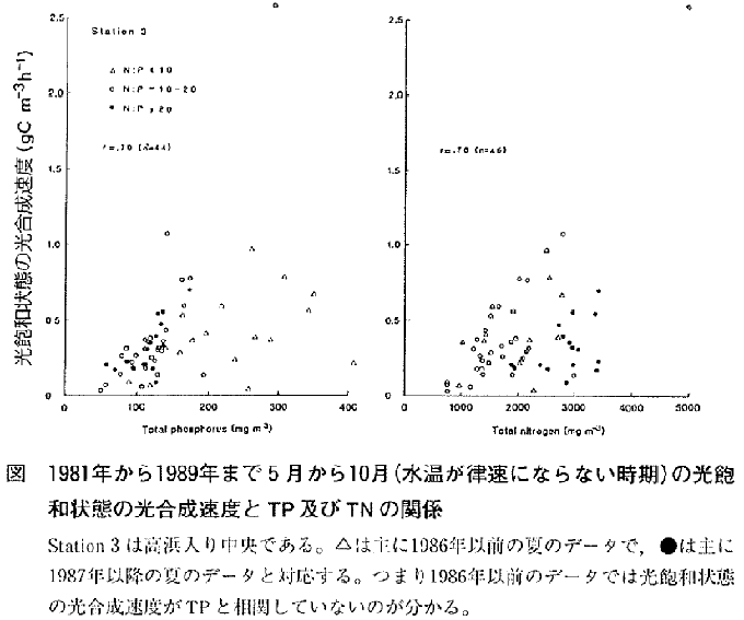 図  1981年から1989年まで５月から10月（水温が律速にならない時期）の光飽和状態の光合成速度とTP及びTNの関係（クリックで拡大表示）