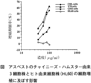 図  アスベストのチャイニーズ・ハムスター由来３細胞株とヒト由来細胞株（HL60）の細胞増殖に及ぼす影響