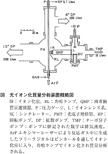 図  光イオン化質量分析装置概略図