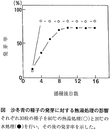 図  沙冬青の種子の発芽に対する熱湯処理の影響