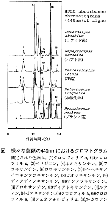 図  様々な藻類の440nmにおけるクロマトグラム