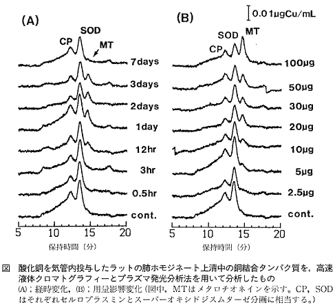 図  酸化銅を気管内投与したラットの肺の分析グラフ