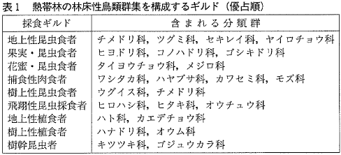 表1 熱帯林の林床性鳥類群集を構成するギルド(優占順)
