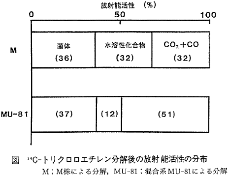 図 14C-トリクロロエチレン分解後の放射能活性の分布