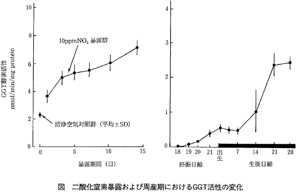 図  二酸化窒素暴露および周産期におけるGGT活性の変化