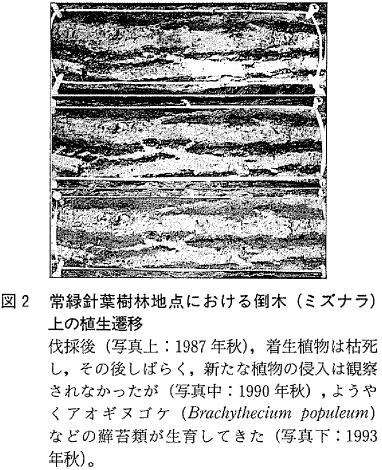 図2  常緑針葉樹林地点における倒木 (ミズナラ) 上の植生遷移