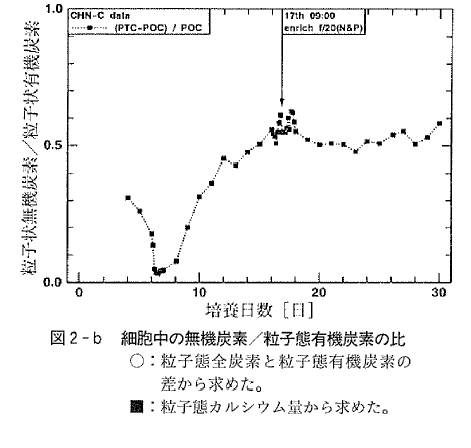 図2-b  細胞中の無機炭素／粒子態有機炭素の比