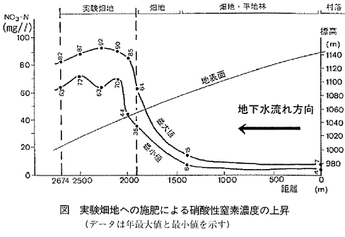 図  実験畑地への施肥による硝酸性窒素濃度の上昇