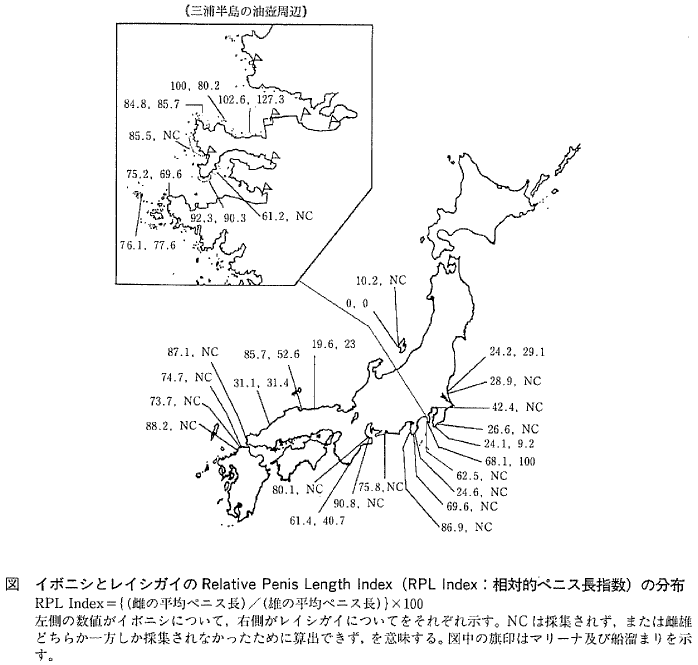 tsh勃起不全