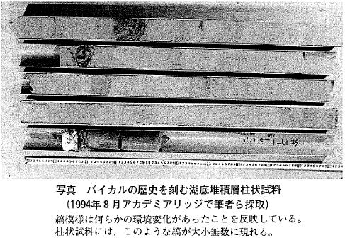 バイカルの歴史を刻む湖底堆積層柱状試料の写真