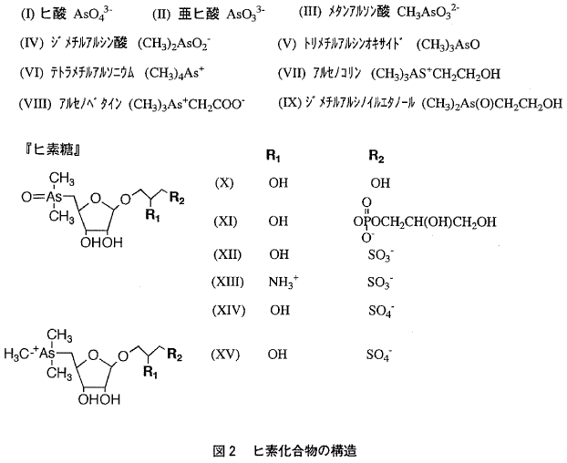 ヒ素の生化学