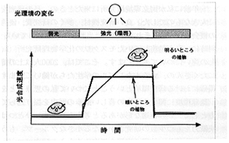 光環境の変化の図