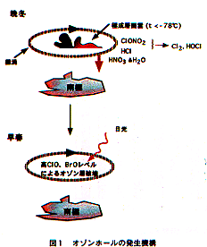図１　オゾンホールの発生機構