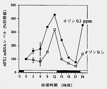 処理時間とレベルのグラフ