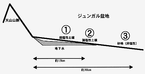 断面図