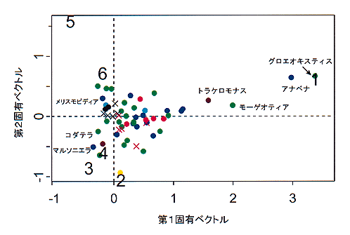 分布の図